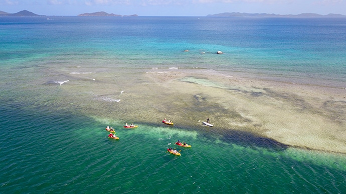 Mangrove Tour: Conoce la nueva iniciativa de la isla-resort Necker Island para preservar y rehabilitar los manglares