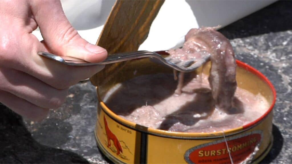 image surströmming surstromming