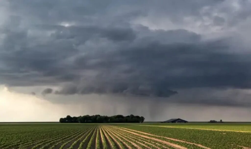 Declaran oficialmente la llegada de El Niño a Argentina