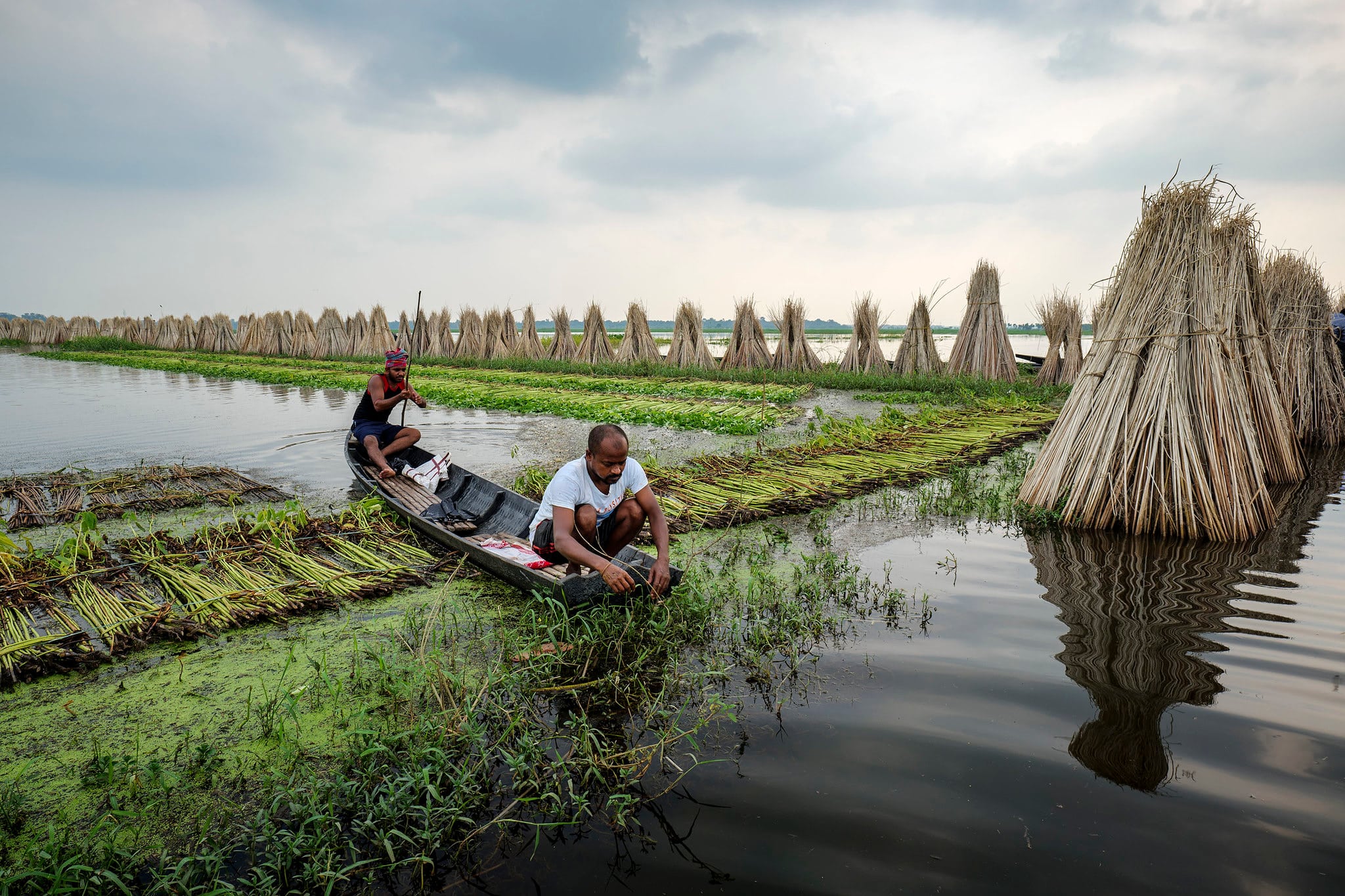 Las 73 fotos finalistas de WMO 2024 Calendar Competition-7