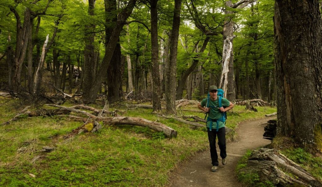 image Trekking en Santa Cruz Que son y donde encontrar Banos de bosque la tendencia wellness que nace en Japon y pisa fuerte en Argentina 1