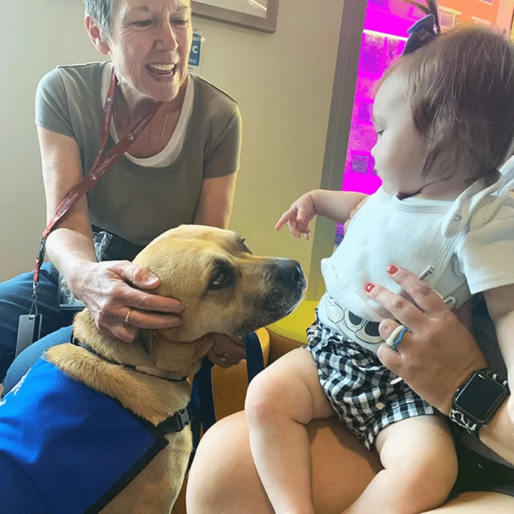 Él es Chance, el perrito de tres patas que asiste a niños que perdieron alguna extremidad image image 79