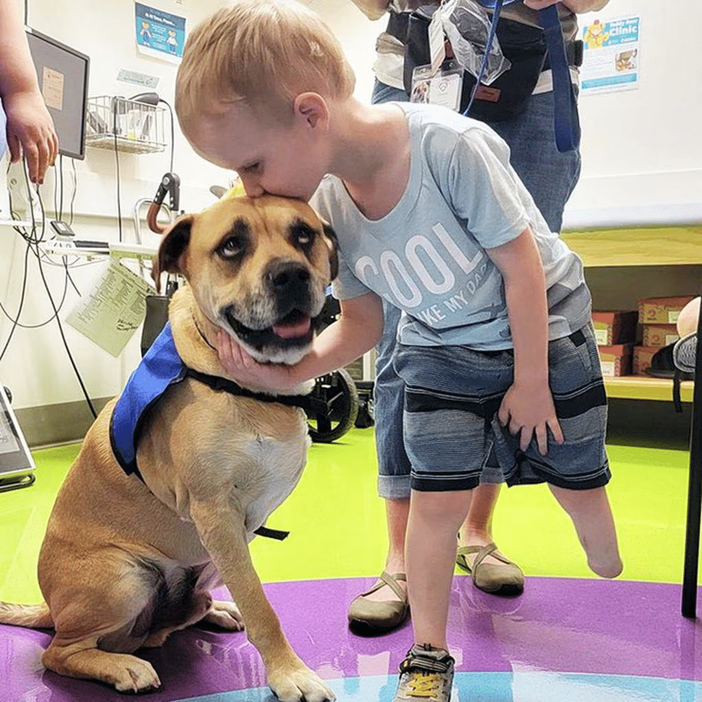 Él es Chance, el perrito de tres patas que asiste a niños que perdieron alguna extremidad image image 82