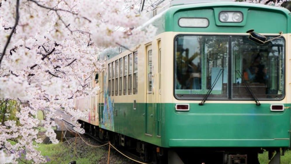 trainsakura