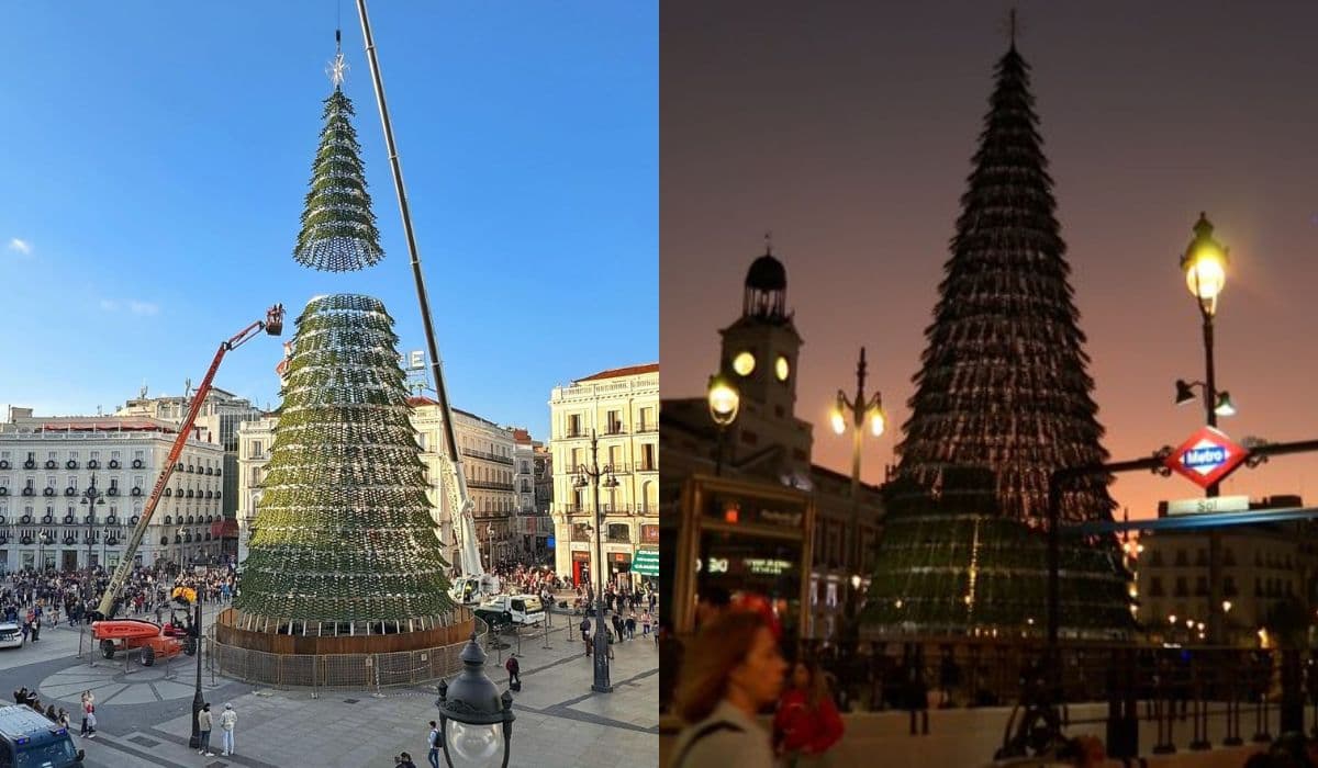 Madrid se prepara para la Navidad Instalan un abeto de más de 35 metros de altura en la Puerta del Sol