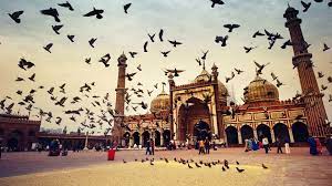 old-delhi