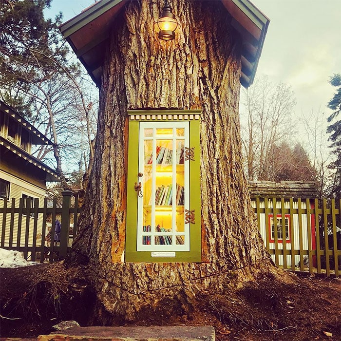 image mujer transforma el arbol podrido en una pequena biblioteca gratuita en su patio delantero 1