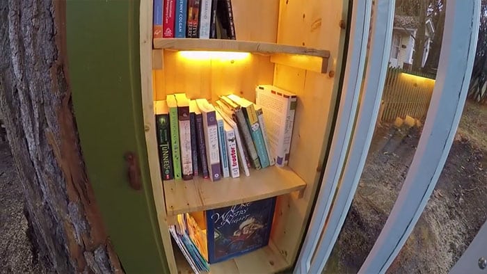 image mujer transforma el arbol podrido en una pequena biblioteca gratuita en su patio delantero 4