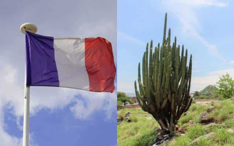 Bandera de Francia, apellidos franceses en Sonora