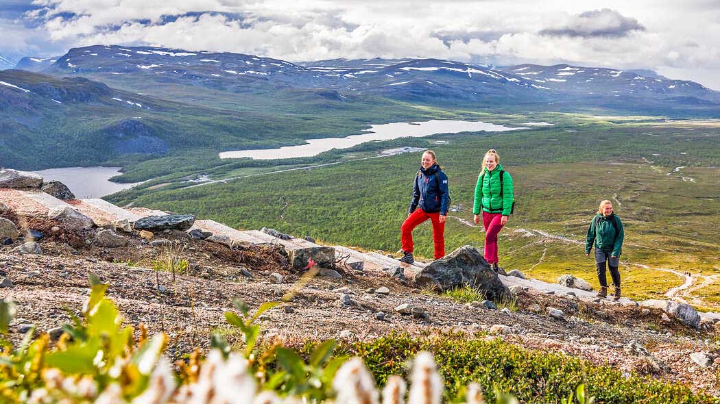 KasivarsiSaananpolkuTerhiTuovinen1050