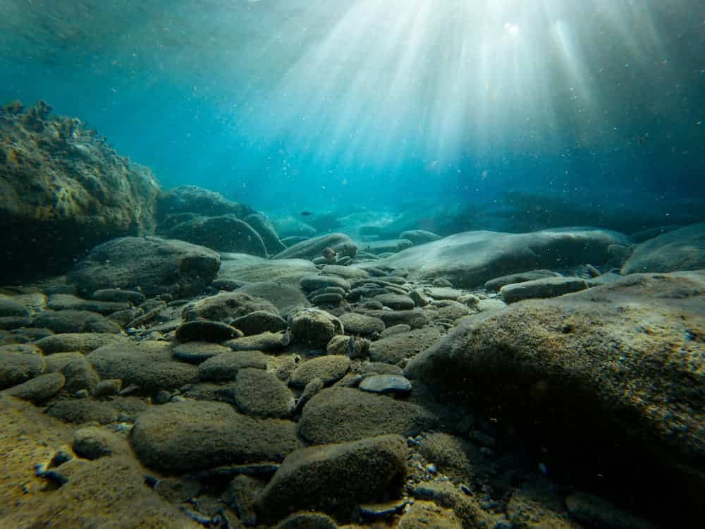 bajo el mar