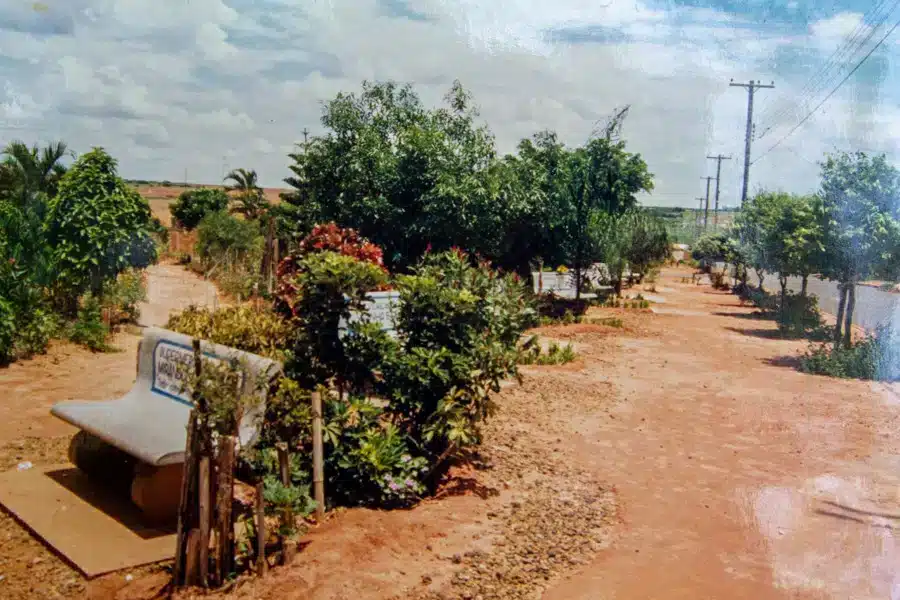 image jubilado de 84 anos transforma terreno baldio en una grandiosa plaza con frutales 20220220 El Horticultor 6.jpg