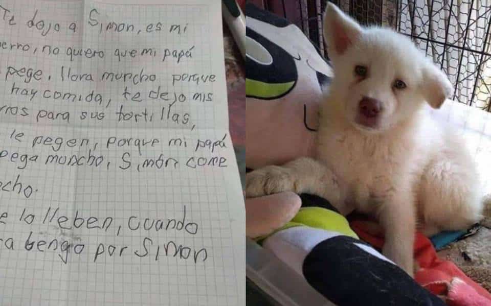 Niño deja a su perrito en albergue para que su padre no lo maltrate