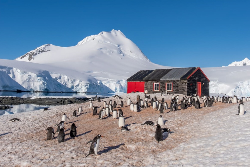 image UK Antarctic Heritage Trust 2