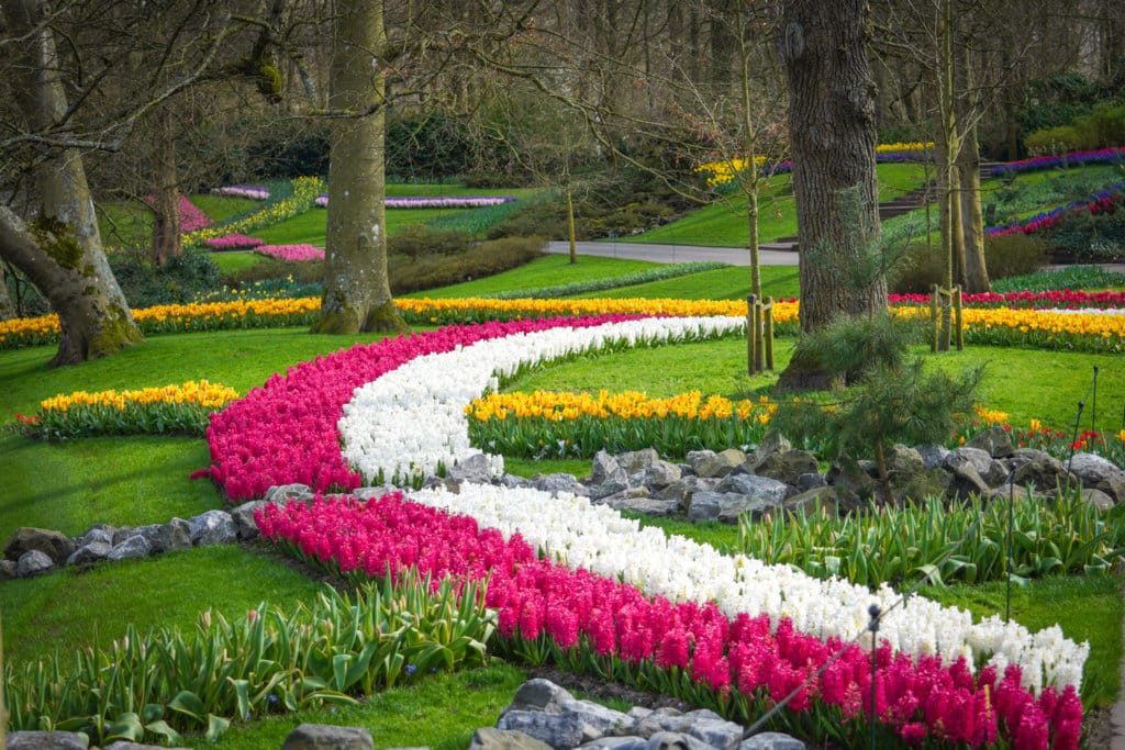 Visit Keukenhof