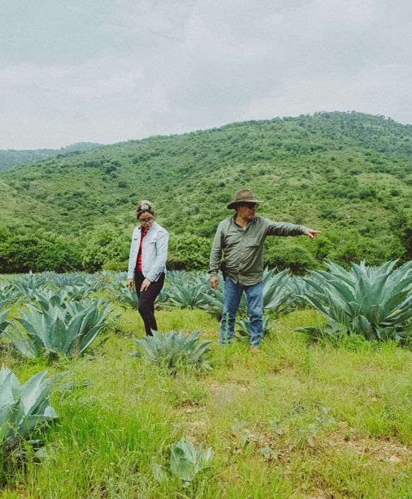 image mezcal mujeres mexico mezcal tequila 2