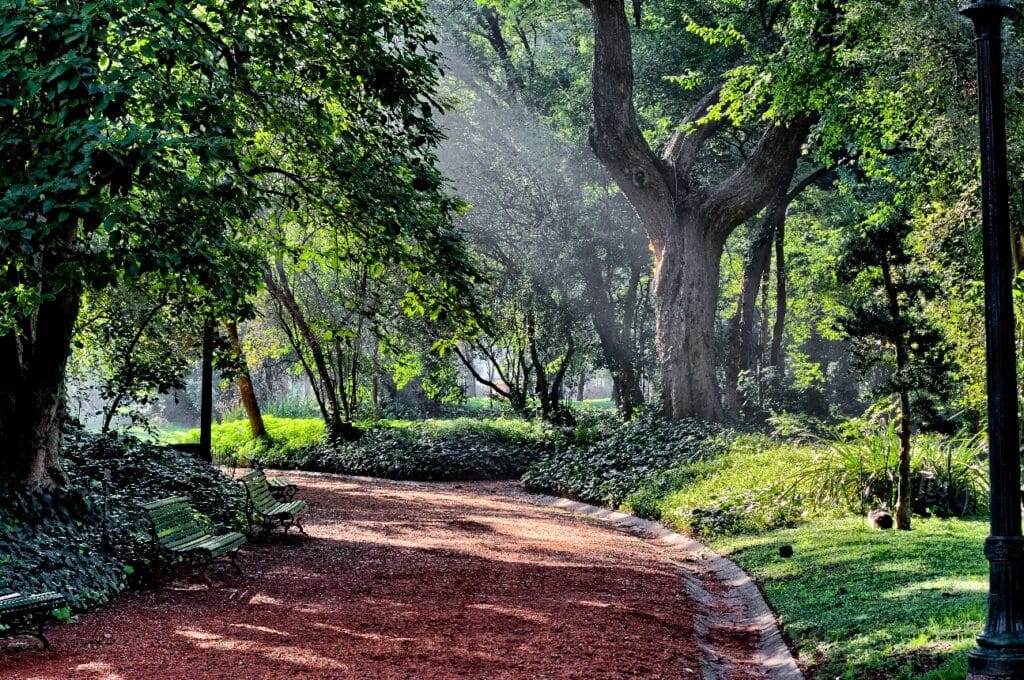 image Buenos Aires Jardin Botanico Buenos Aires 4