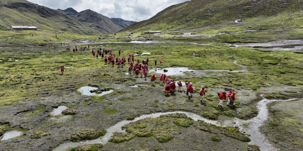 Esta ONG rescata bosques andinos en Argentina y países vecinos impulsando la restauración de ecosistemas a gran escala