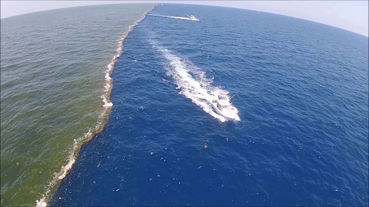 zona muerta en el Golfo de México