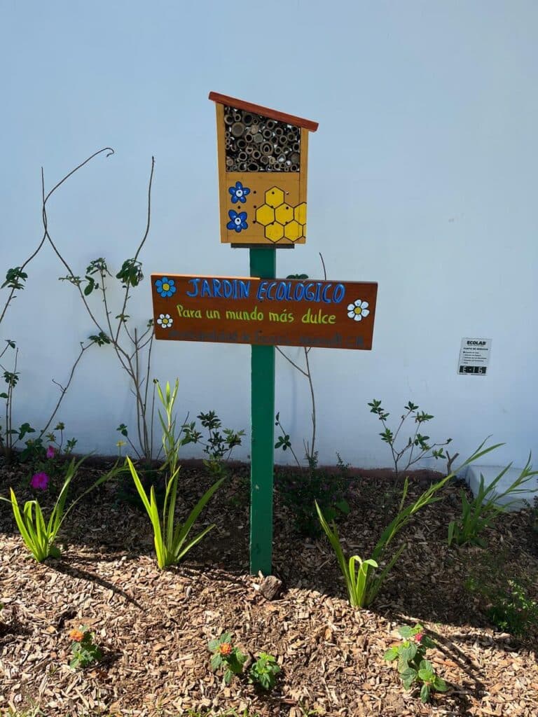 image Día Mundial de las Abejas Dia Mundial de las Abejas 5