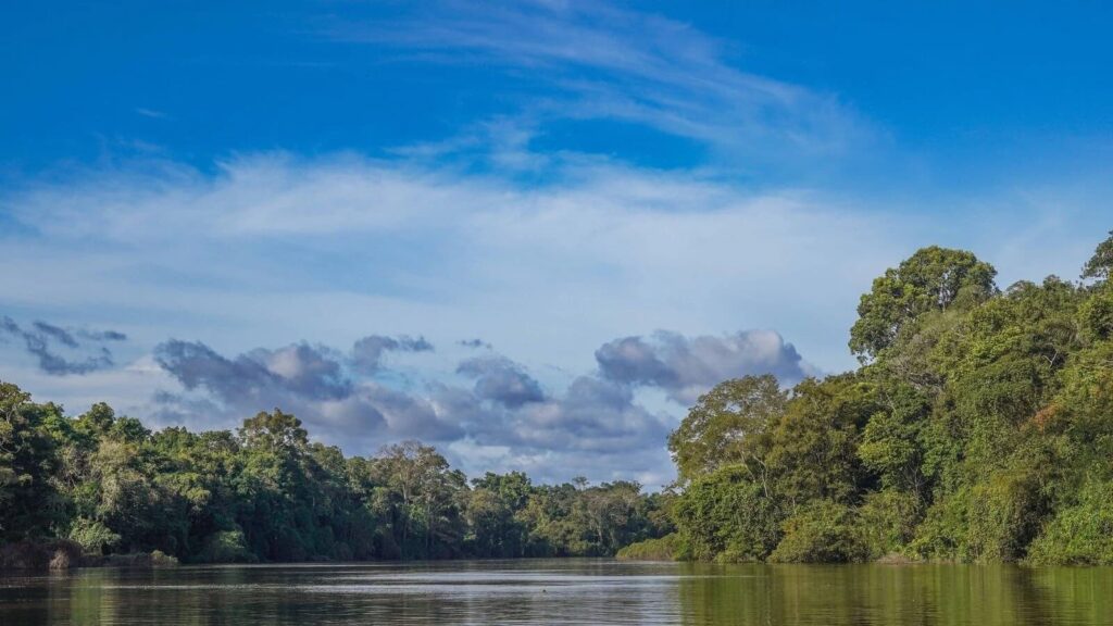 image Amazonía amazonia campana concientizacion jovenes peru 4