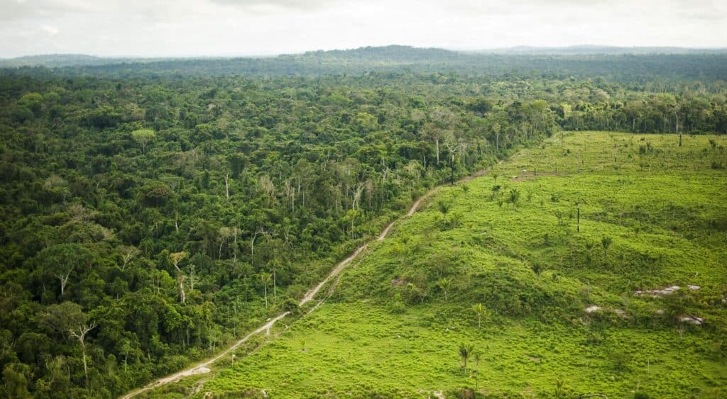 image Amazonía amazonia campana de concientizacion peru 1