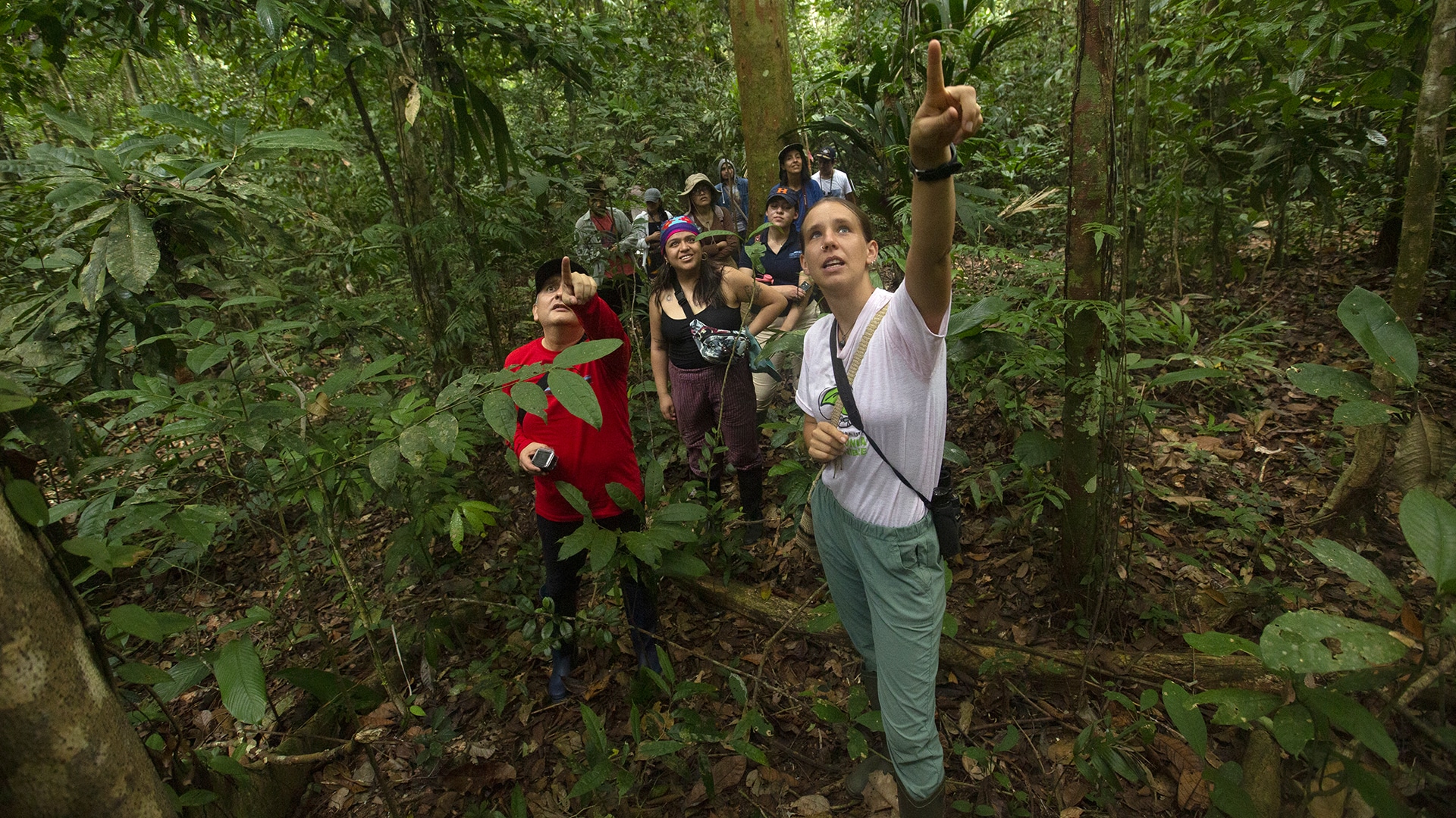 amazonia-campaña-de-concientización-perú-2