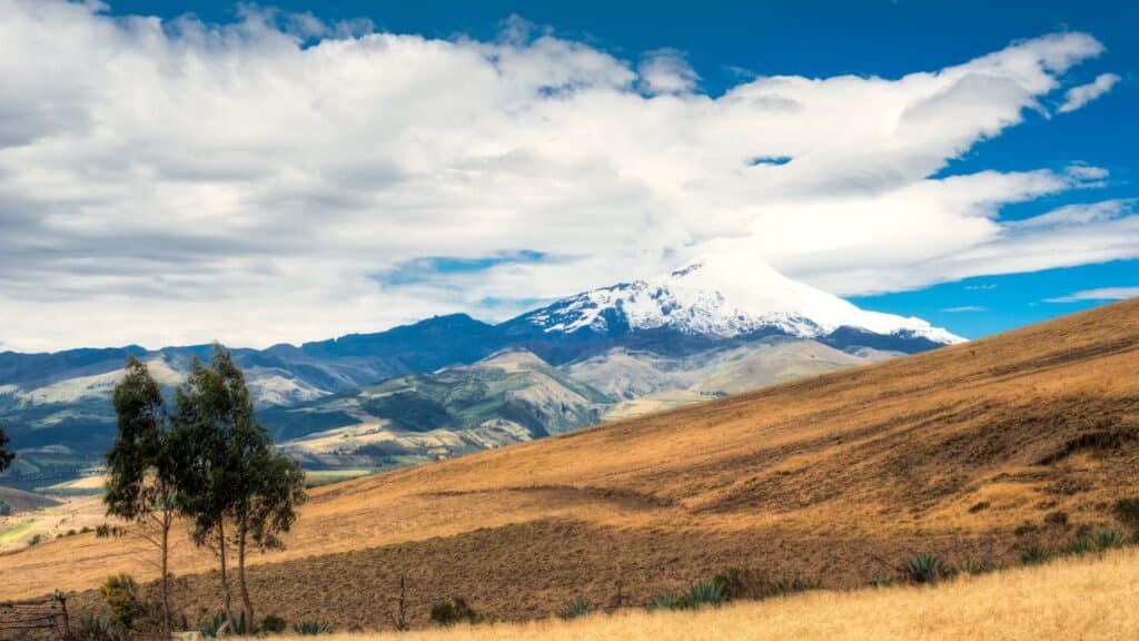 image Quito Cayambe QUITO