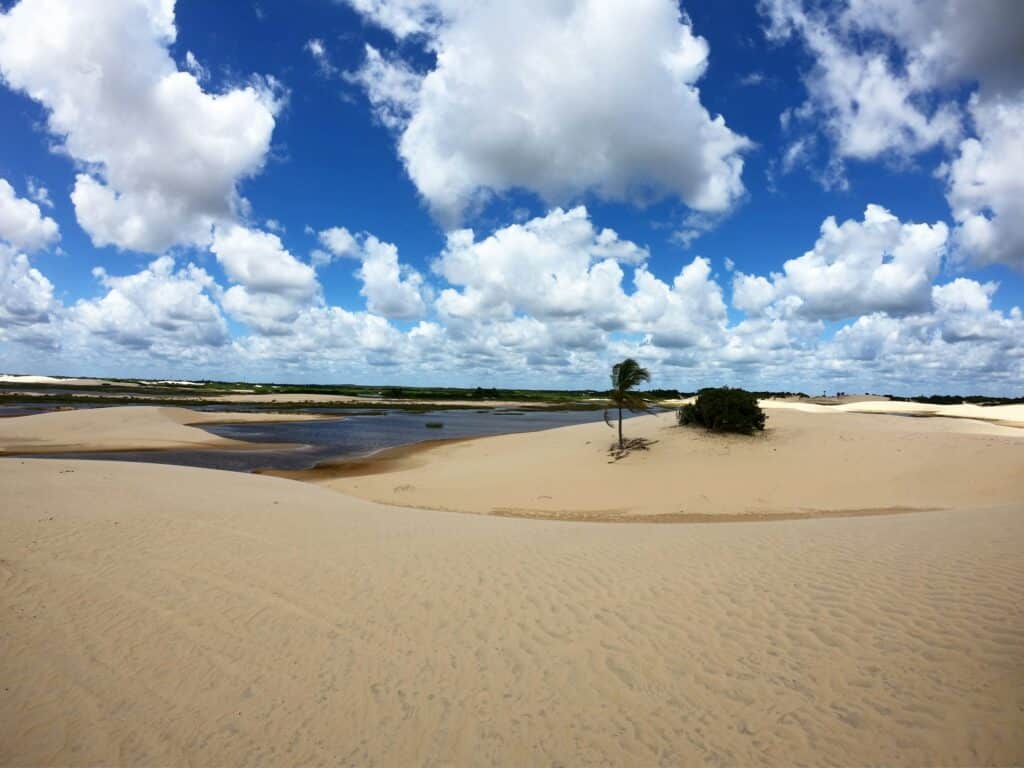 image Qué hacer en Lençóis Maranhenses Lencois Maranhenses Creditos Marcus Dall Col Unsplash