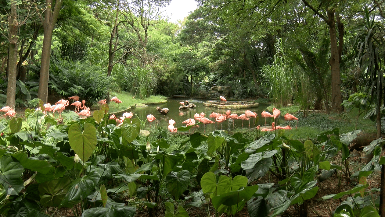 Parque-de-la-conservacion-Medellín-1