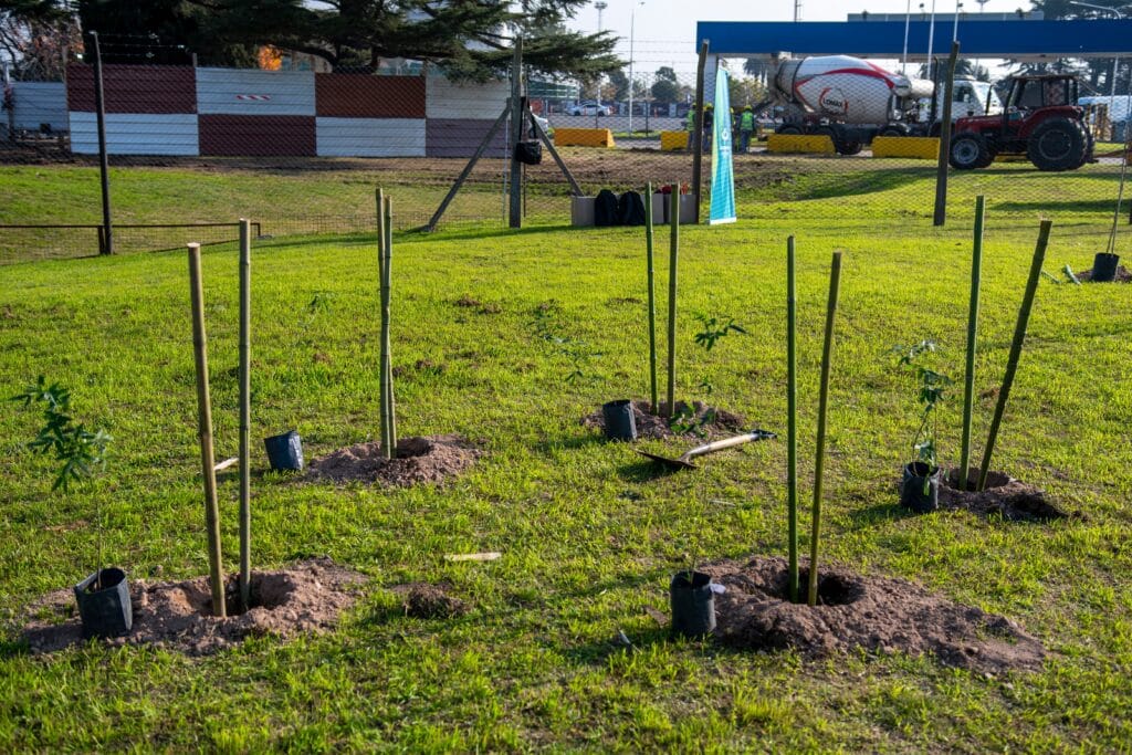 image Aeropuerto Internacional de Ezeiza Proyecto Rebrote el Aeropuerto Internacional de Ezeiza planta nuevos arboles nativos en el acceso a sus instalaciones 3