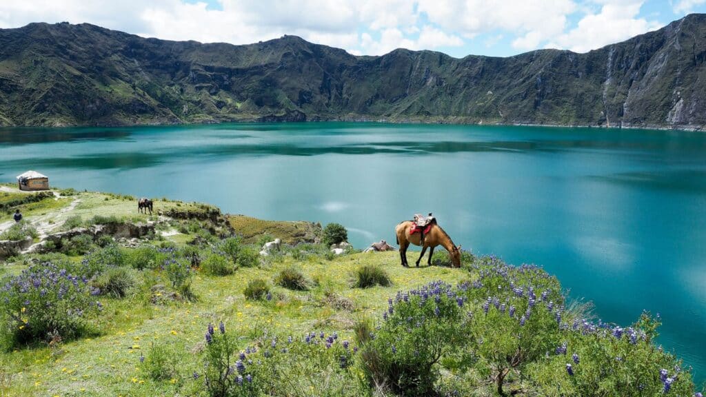 image Quito Quilotoa QUITO