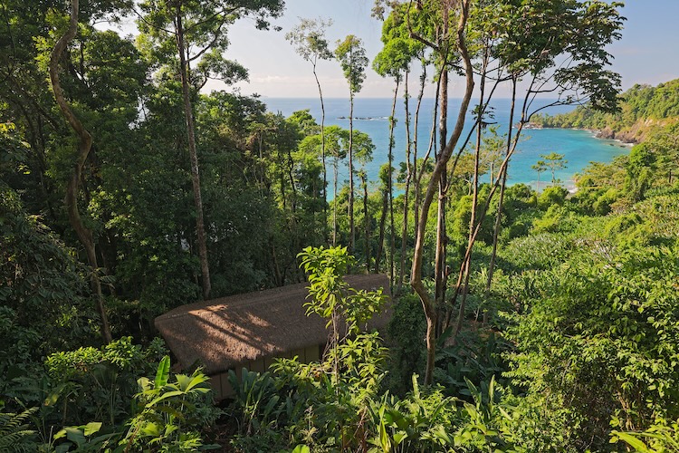 SCP Corcovado Wilderness Lodge: el nuevo eco-lodge de lujo que abre sus puertas en la Península de Osa, Costa Rica