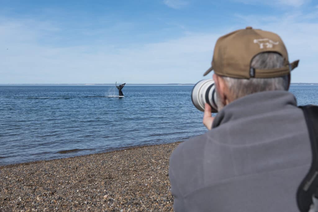 image Cómo llegar a El Doradillo como llegar a el doradillo puerto madryn avistaje de ballenas gratuito 5