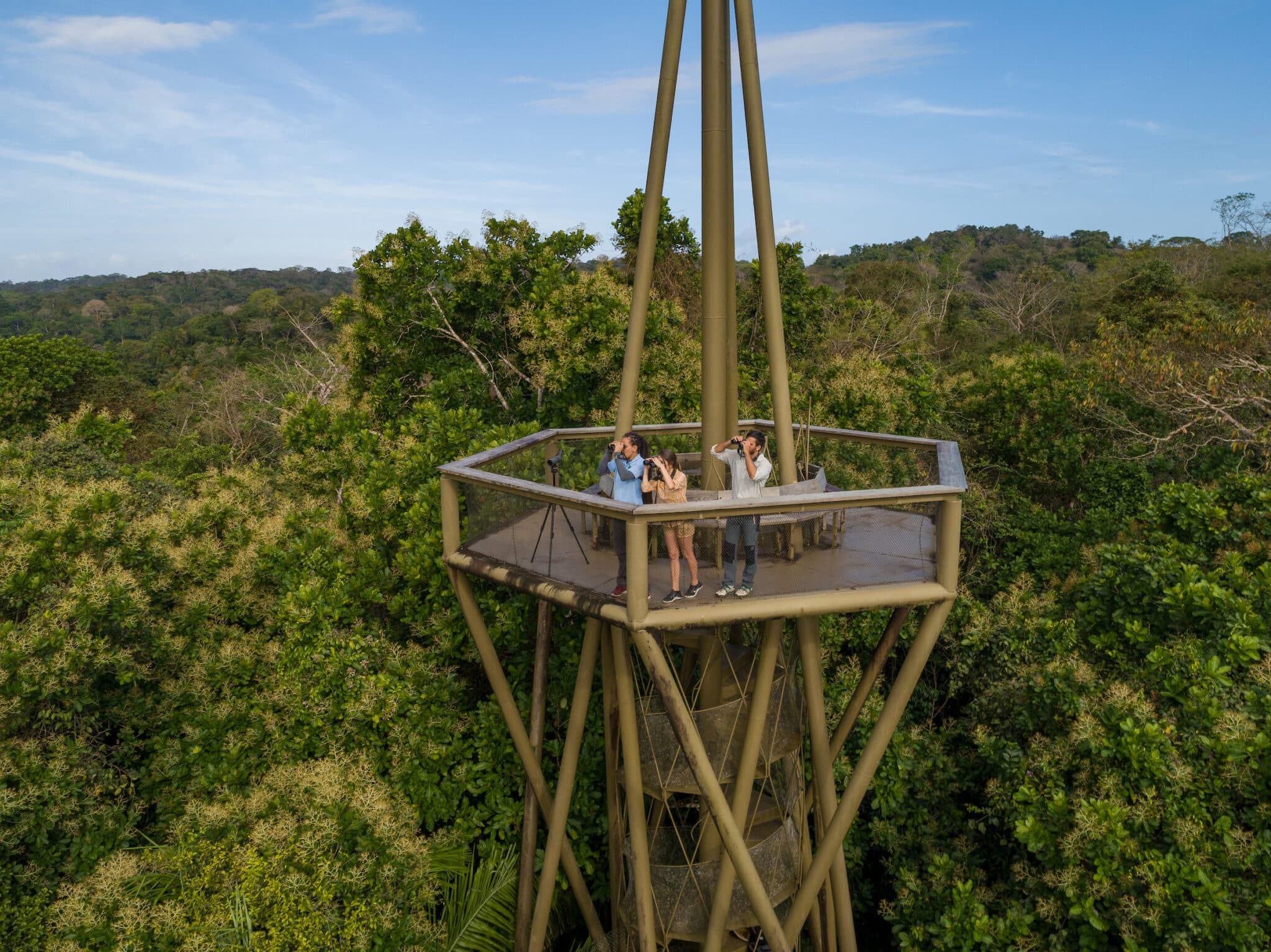 Gamboa Rainforest Reserve, Province of Panama-1