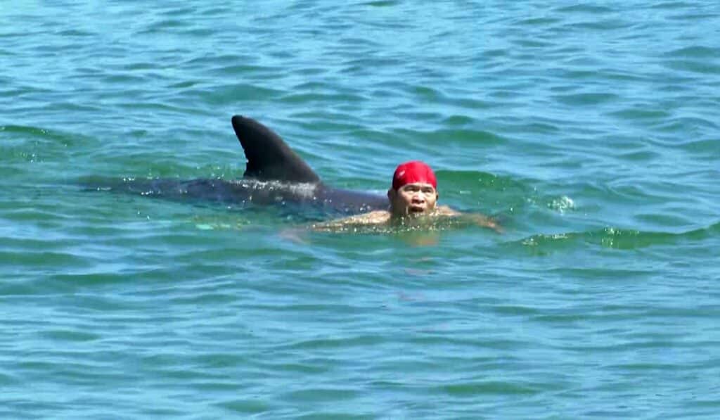 image Un banista se encuentra con un delfin en una playa de Mihama en Fukui. Ocurrio hoy MBS TV