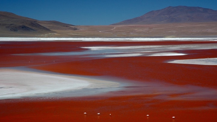 image Laguna Colorada Bolivia2 1