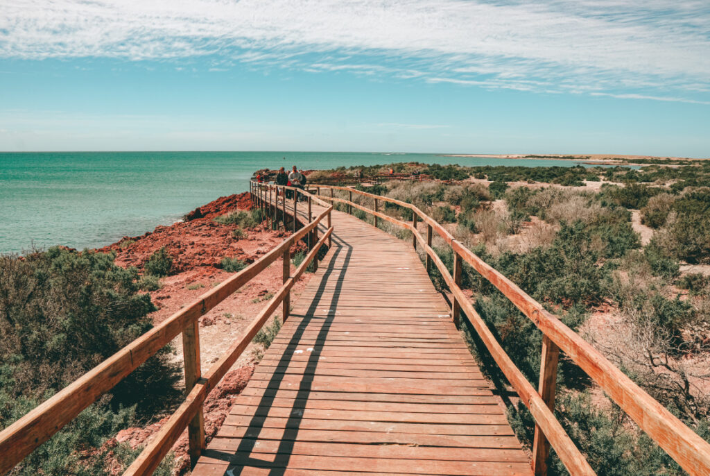 image tours sobre misterios y leyendas puerto madryn turismo septiembre fauna 1