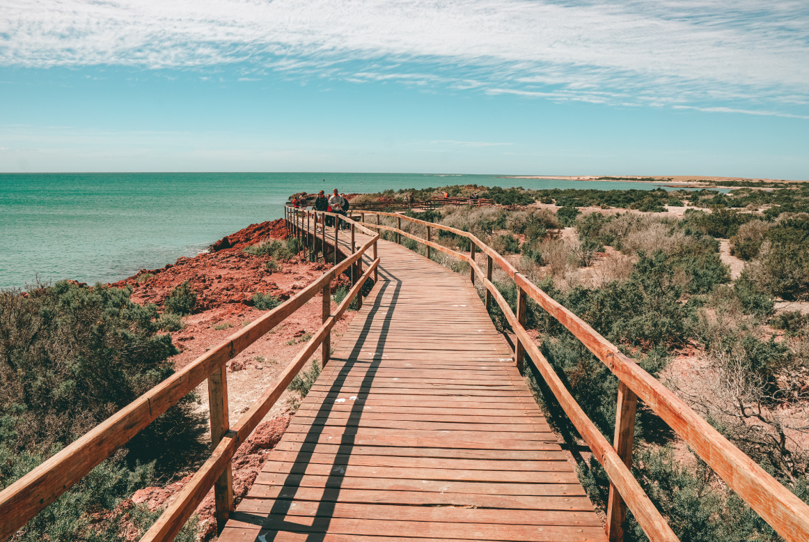 puerto-madryn-turismo-septiembre-fauna-1