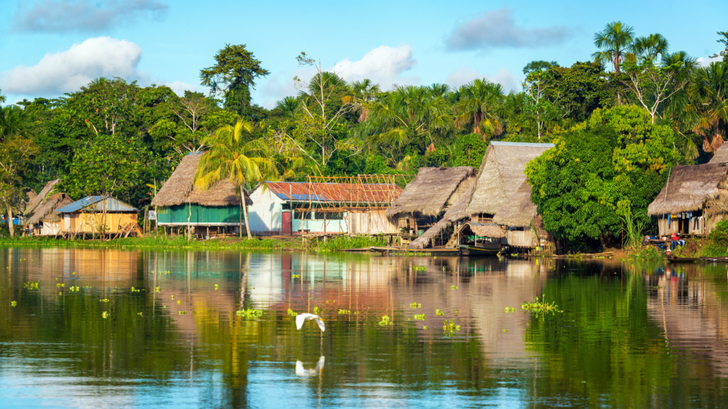 image Amazonas de Peru 2