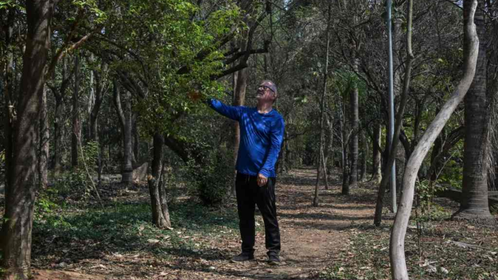 image Brasileno planta mas de 40 mil arboles 1