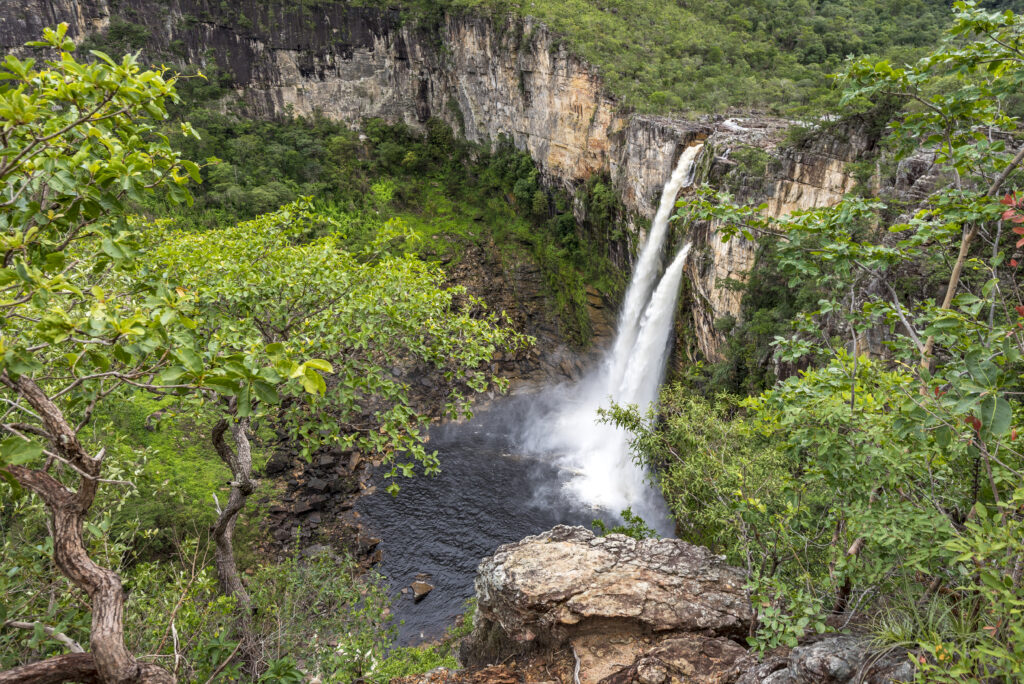 National Geographic incluye a El Cerrado brasileño como uno de los mejores destinos del mundo para conocer en 2025