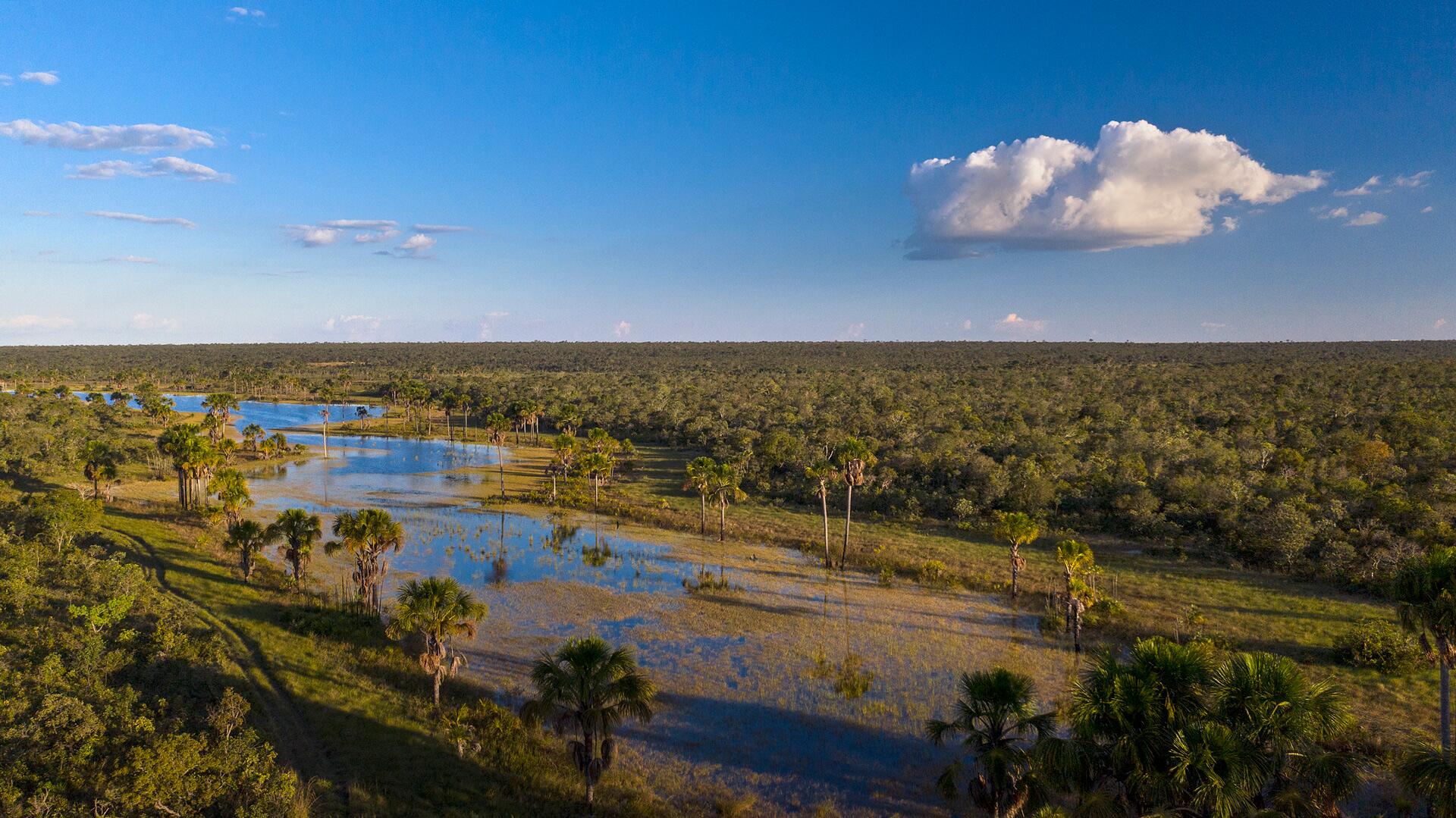 El-Cerrado-brasileño-turismo-National-Geographic-1