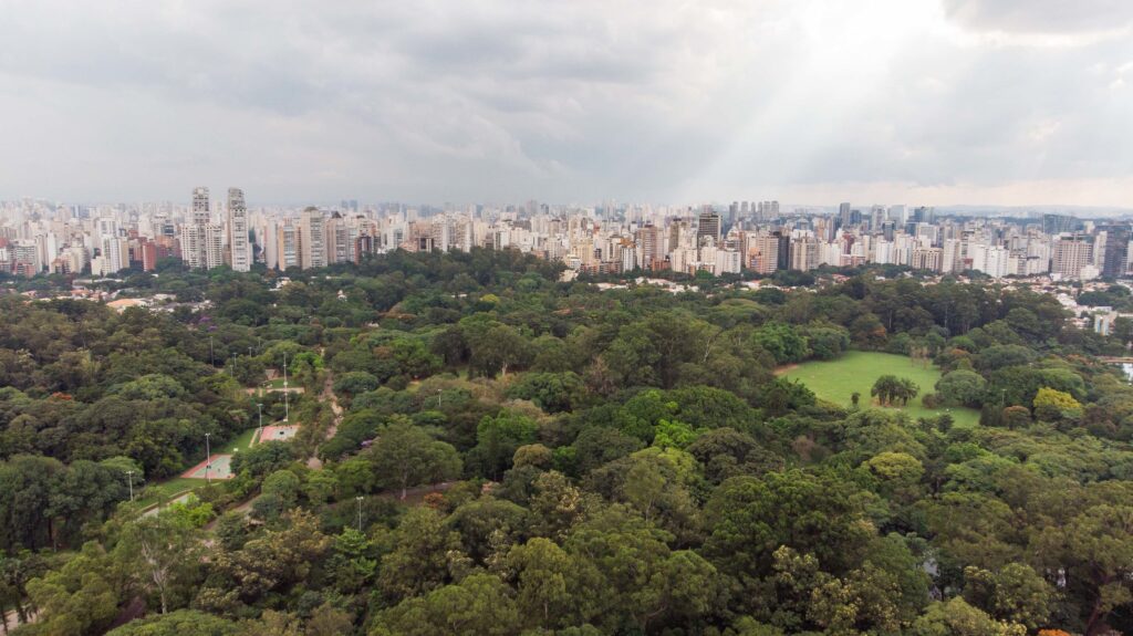 image Fórmula 1 en San Pablo PARQUEIBIRAPUERA SAOPAULO SP FOTO ROGERIOCASSIMIRO MTUR