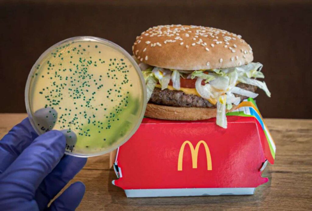 image brote ecoli hamburguesas mcdonalds 1 1