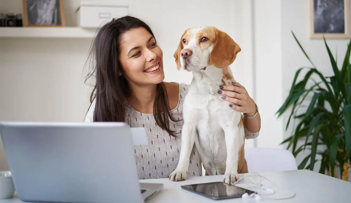 reforma-laboral-permitiria-llevar-mascotas-de-apoyo-emocional-al-trabajo