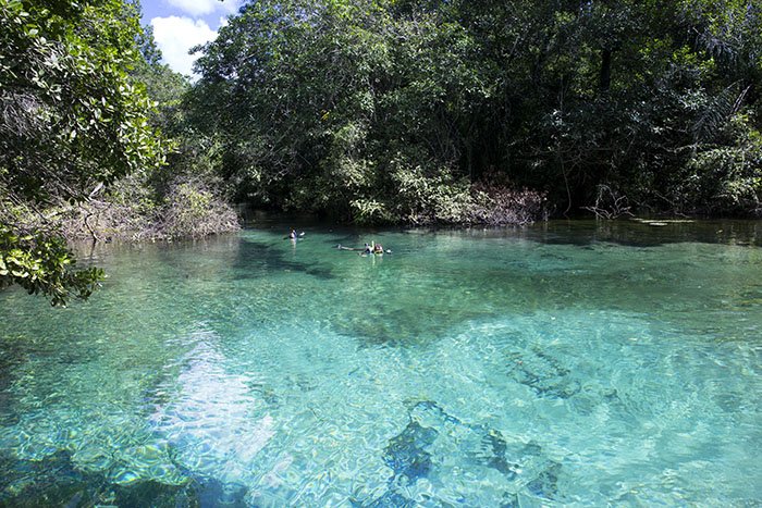 image lugares para bucear en Brasil rio da prata bonito brasil 1