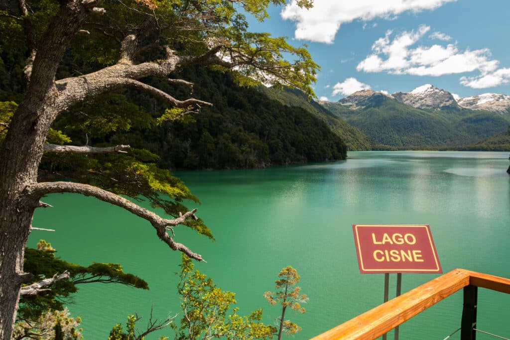 image Alerce Milenario PNLA Alerzal Milenario Rio Cisne