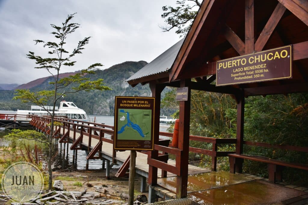 image Alerce Milenario PNLA Puerto Chucao otono