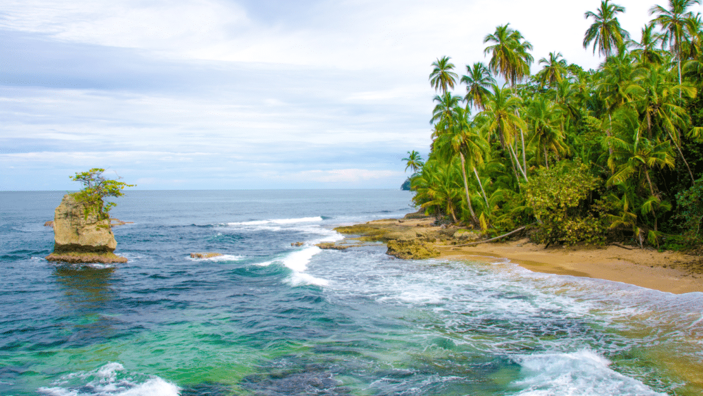 image Costa Rica Playa Manzanillo Limon